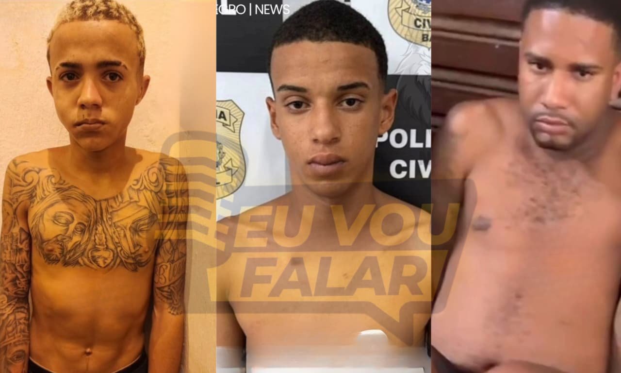 Reprodução de Imagem