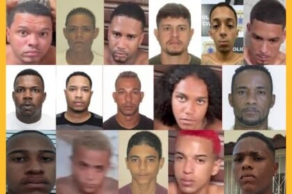 Reprodução de Imagem