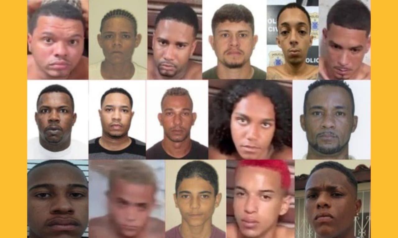 Reprodução de Imagem