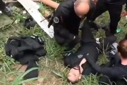 Reprodução de Imagem