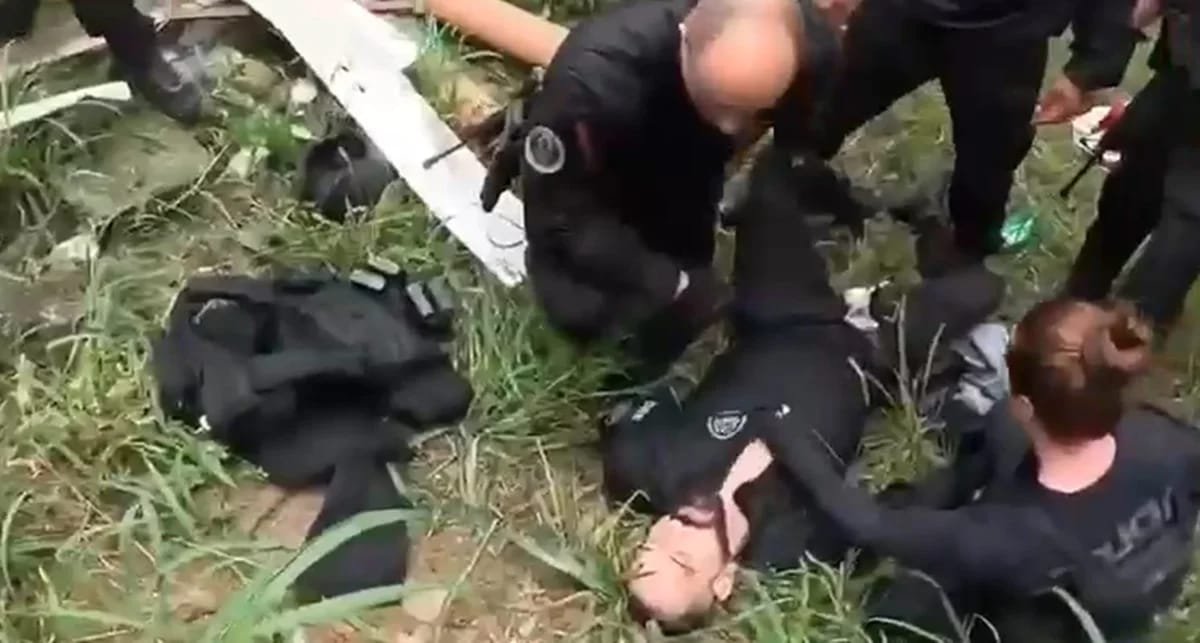 Reprodução de Imagem