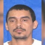 Reprodução de Imagem