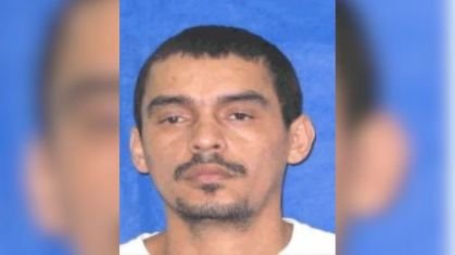 Reprodução de Imagem