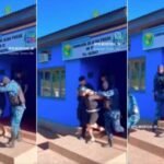 Reprodução de Imagem