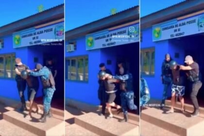 Reprodução de Imagem