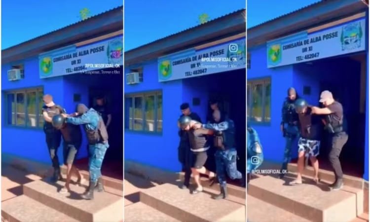 Reprodução de Imagem