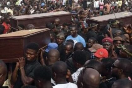 reprodução de imagem