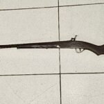 Reprodução de Imagem