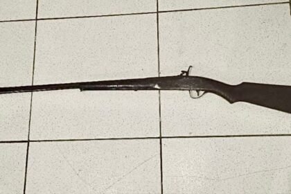 Reprodução de Imagem