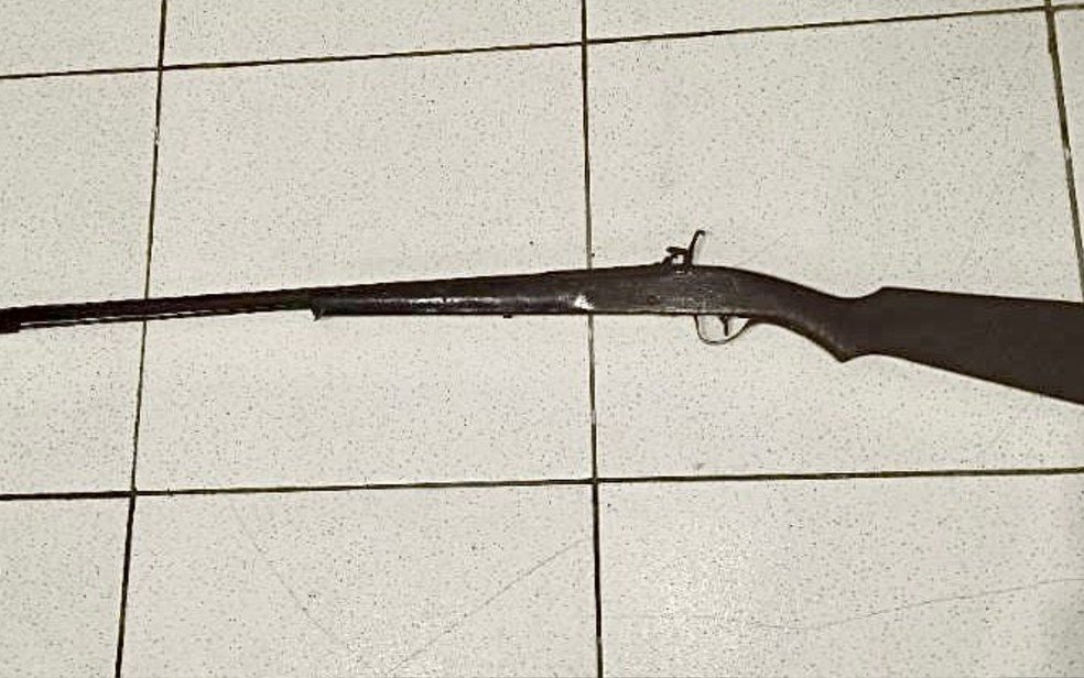 Reprodução de Imagem