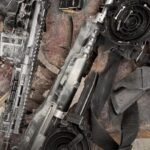 Reprodução de Imagem