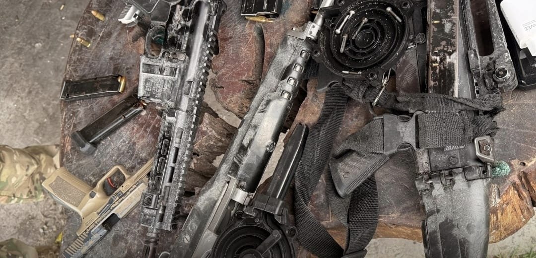 Reprodução de Imagem