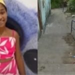 Reprodução de Imagem