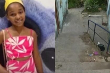 Reprodução de Imagem