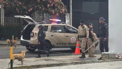 Reprodução de Imagem