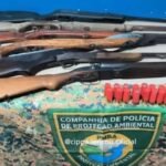 Reprodução de Imagem