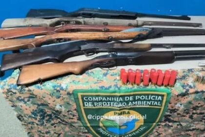 Reprodução de Imagem