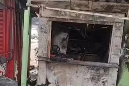 Reprodução de Imagem