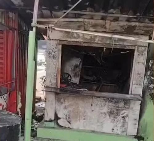 Reprodução de Imagem