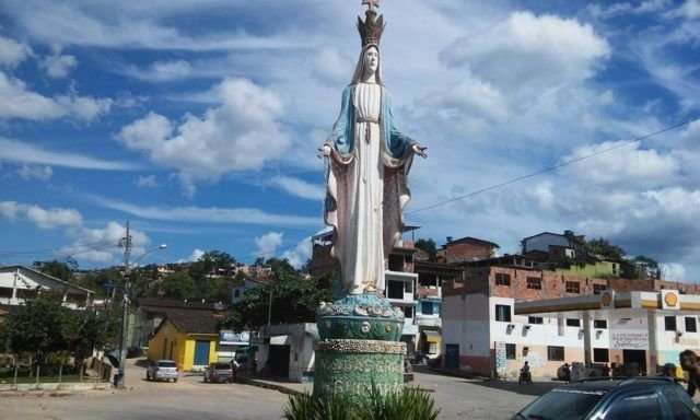 Reprodução de Imagem