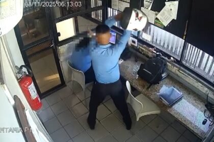 Reprodução de Imagem