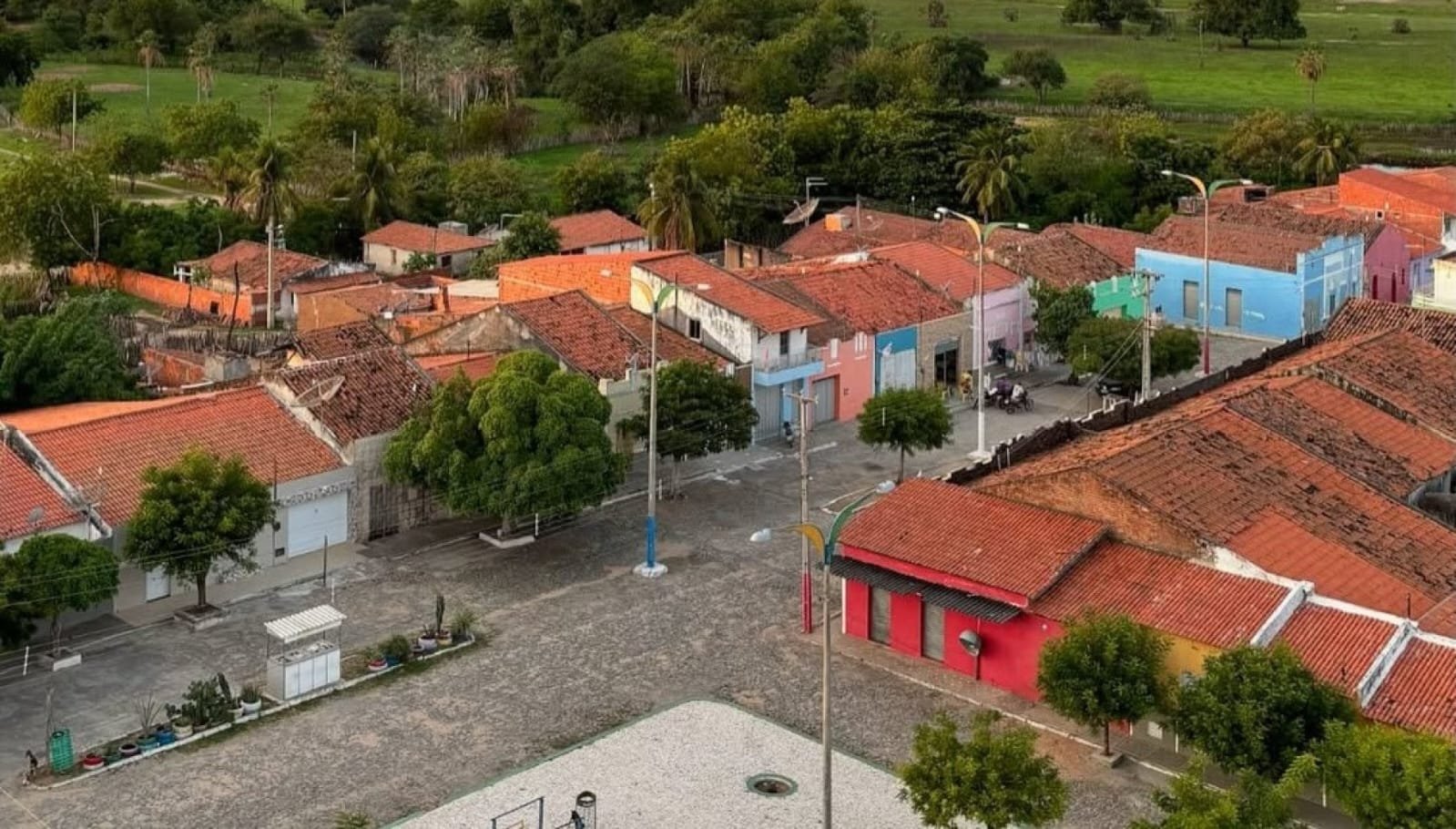 Reprodução de Imagem