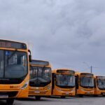 Reprodução de Imagem