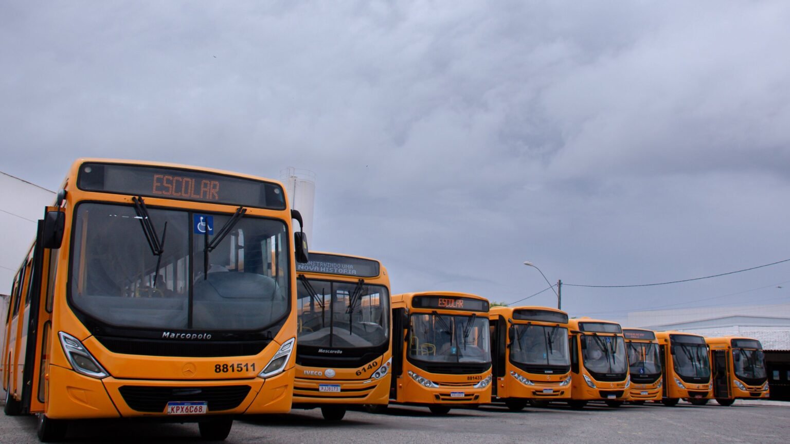 Reprodução de Imagem