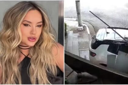 Reprodução de Imagem