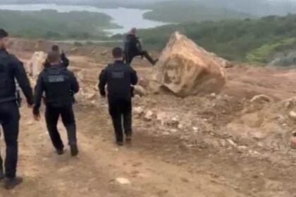 Reprodução de Imagem