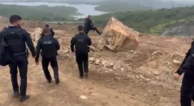 Reprodução de Imagem