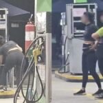 Reprodução de Imagem