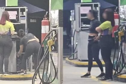 Reprodução de Imagem