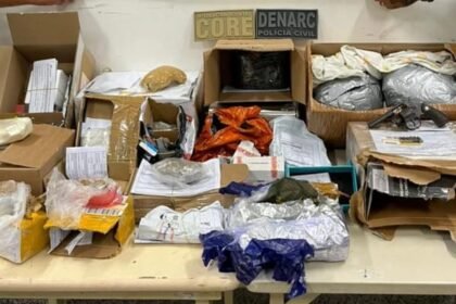 Reprodução de Imagem