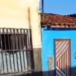 Reprodução de Imagem