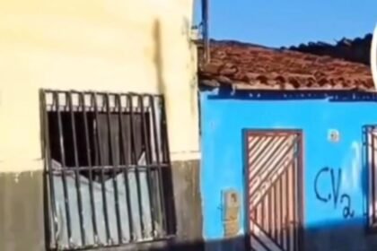 Reprodução de Imagem