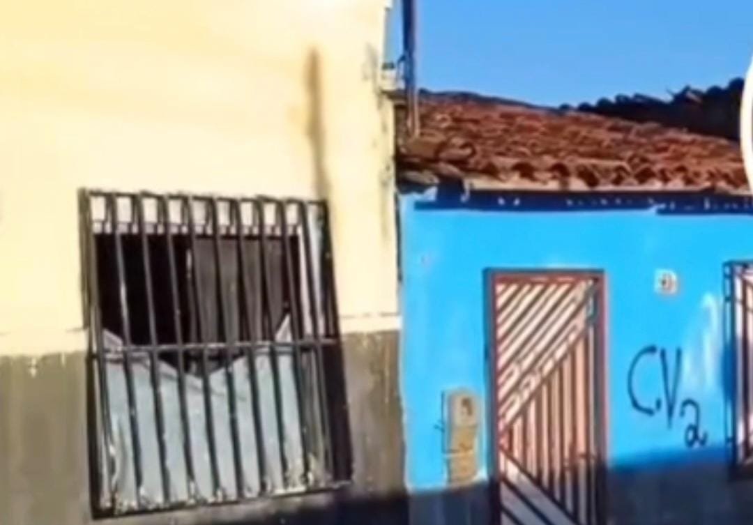 Reprodução de Imagem