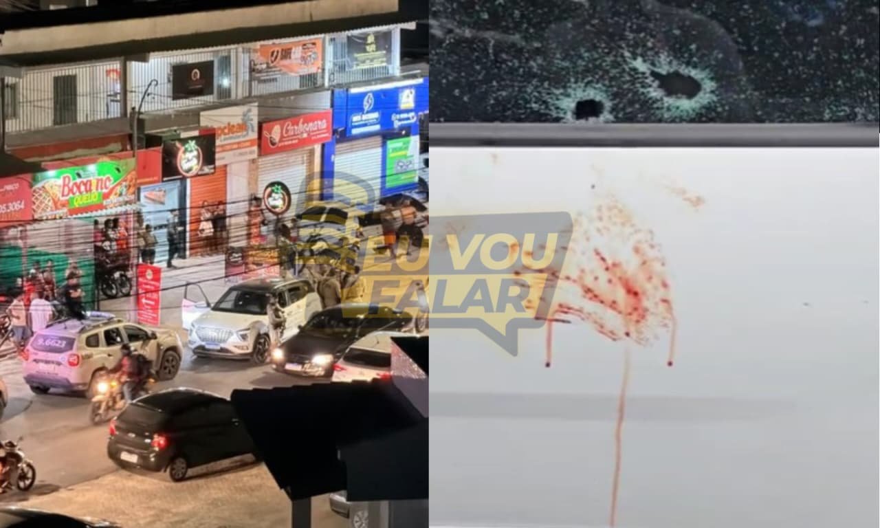 Reprodução de Imagem