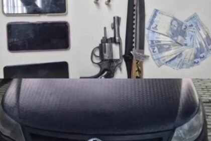 Reprodução de Imagem