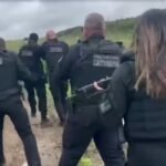 Reprodução de Imagem