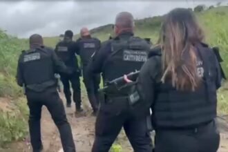 Reprodução de Imagem