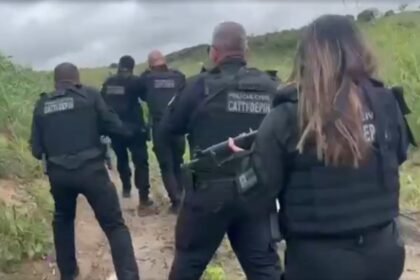 Reprodução de Imagem