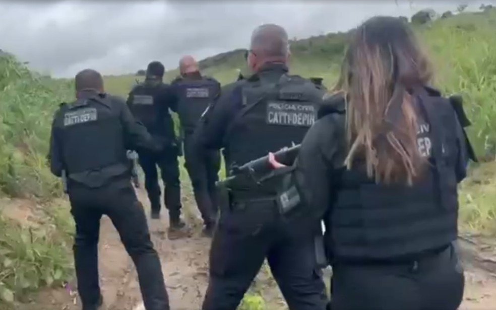 Reprodução de Imagem